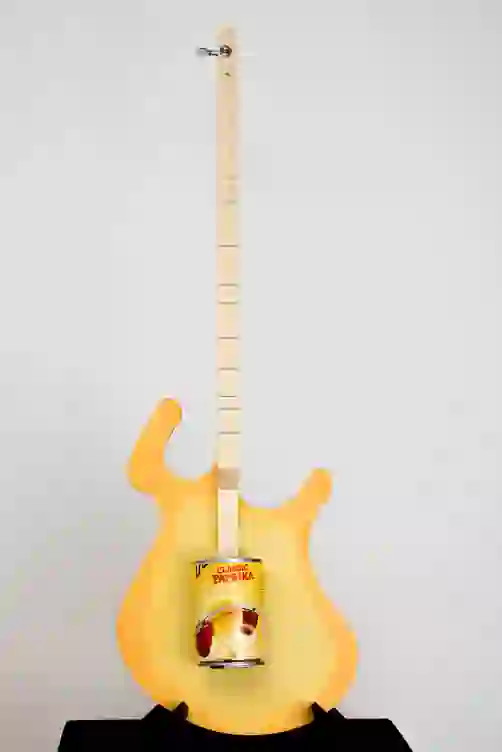 Tomaten-Dosengitarre